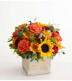 The Harvest Glow™ Bouquet. An arrangement by Susana's Flowers.