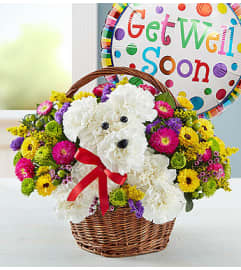 a-DOG-able® in a Basket - Get Well. An arrangement by Blessing and Blooms Florist.