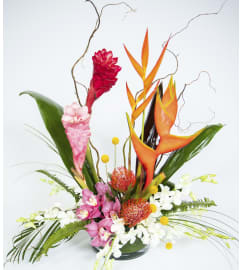 Tropical Paradise Getaway. An arrangement by La Petite Florist and Gifts.