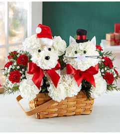 Playful Paws™ for Holiday. An arrangement by Graceland Florist.