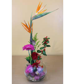 Bowl of Paradise. An arrangement by Ditmars Flower Shop.