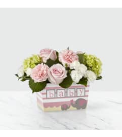 Darling Baby Girl by FTD. An arrangement by Ann's Flowers.