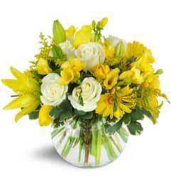 Lucky Stars™. An arrangement by Affordable Occasions Floral Shop.