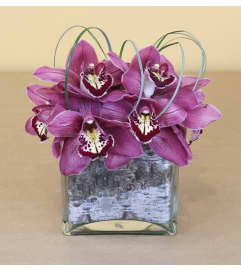 Purple Haze. An arrangement by Ditmars Flower Shop.
