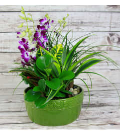 Lush Green Ceramic Garden. An arrangement by Tarrytown Floral Designs.