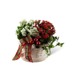 The FTD® Celebrate the Season™ Dishgarden. An arrangement by Mystic Garden Floral.