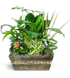 Garden of Memories. An arrangement by Judy Nicholls Floral Studio.
