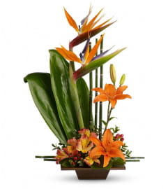 Teleflora's Exotic Grace. An arrangement by Pompano Beach Floral.