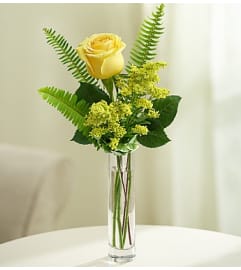 Love's Embrace™ Roses – Yellow. An arrangement by Blessing and Blooms Florist.