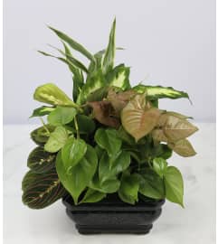 Decorative Square Garden. An arrangement by Detas Heavenly Florist.