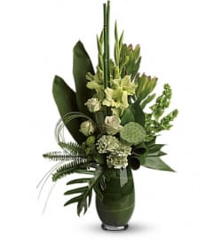 SPLASH OF LIMELIGHT BOUQUET. An arrangement by Fine's Flowers.