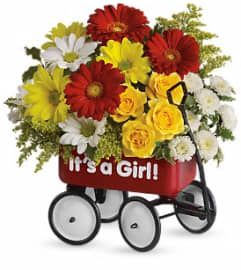 It's A Girl Wagon. An arrangement by Awesome Blossom.