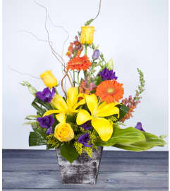 Caught My Eye. An arrangement by Rancho Duarte Florist.