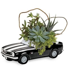 Teleflora's Chevy Camaro Plant Garden. An arrangement by Pompano Beach Floral.