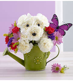 Playful Pup™. An arrangement by Blessing and Blooms Florist.
