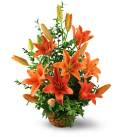 Asiatic Lily Basket. An arrangement by Vemongi Flowers.