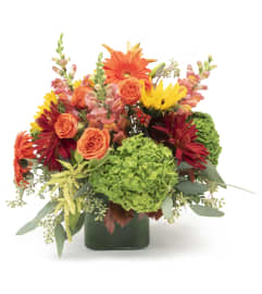 Autumn Dreams. An arrangement by Ditmars Flower Shop.
