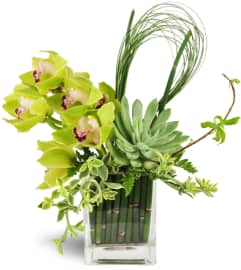Succulent Orchid Zen Garden Vase™. An arrangement by Triple A Florist - Burnaby.