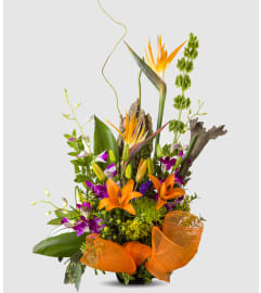 The Tropical Paradise. An arrangement by Athena Flowers.
