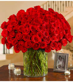 100 Premium Roses. An arrangement by Sicola's Florist.