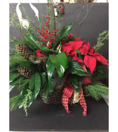 Holiday Planters. An arrangement by Donato's Floral. Holiday Planters. An arrangement by Donato's Floral.