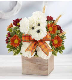 a-DOG-able® for Fall. An arrangement by Blessing and Blooms Florist.