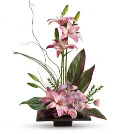 Imagination Blooms with Cymbidium Orchid. An arrangement by Sunrise Greenery.