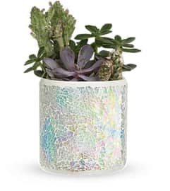 Teleflora's Iridescent Oasis Garden. An arrangement by Marivel's Florist and Gifts.