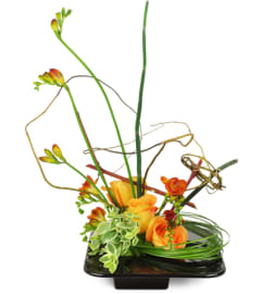 Tranquil Mountain Roses™. An arrangement by Bakman Floral Design.