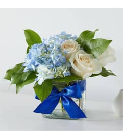 Sky Blue Delight Bouquet™ by FTD®. An arrangement by Cal's Grower Direct.