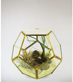 Simplicity Garden. An arrangement by Stargazer Premier Florist.