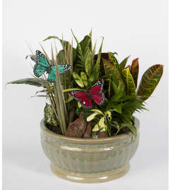 Butterfly Daydream. An arrangement by Masters and Company Florist.