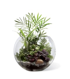The FTD® Woodland Greens™ Terrarium. An arrangement by Mystic Garden Floral.