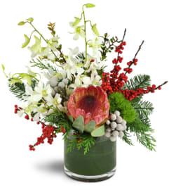 Berry Merry Christmas!™. An arrangement by Mt. Prospect Flowers.
