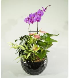 Simply the Best. An arrangement by Westdale Florist.