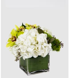 Romantic Green. An arrangement by Athena Flowers.