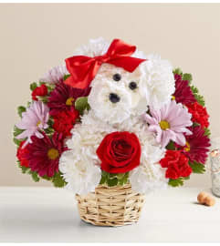 Love Pup™. An arrangement by Blessing and Blooms Florist.