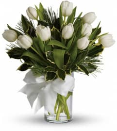 Tulips and Pine. An arrangement by Pompano Beach Floral.