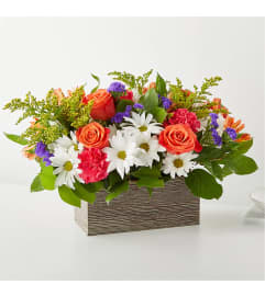 The Oopsie Daisy Box Bouquet XL. An arrangement by Northwest Florist.