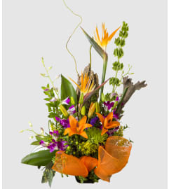 Natural Wonders. An arrangement by Athena Flowers.