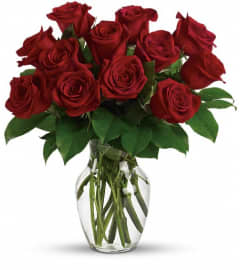 Enduring Passion - 12 Red Roses. An arrangement by Pompano Beach Floral.