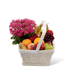 The FTD® Garden's Paradise™ Basket. An arrangement by Fink Flowers, Gifts and Flower Delivery.