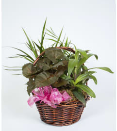 Abundant Basket. An arrangement by La Petite Florist and Gifts.