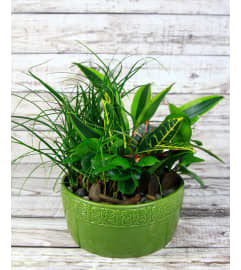 Lush Green Ceramic Garden. An arrangement by Tarrytown Floral Designs.