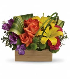 Teleflora's Shades Of Brilliance Bouquet. An arrangement by Pompano Beach Floral.