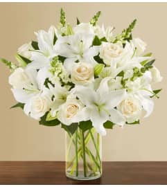 Classic All White Arrangement™ XL. An arrangement by Sicola's Florist.