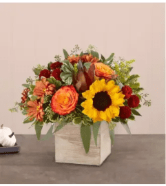 Heartfelt Radiance™ Bouquet for Sympathy. An arrangement by 1800flowers Encinitas.