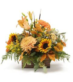Amazing Ambers. An arrangement by Consider the Lilies.