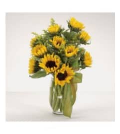 SUNFLOWER BOUQUET. An arrangement by Massey's House of Flowers.