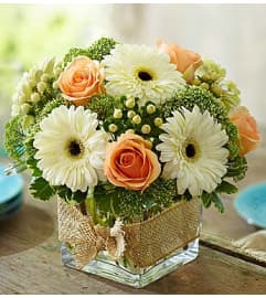 Modern Rose and Gerbera Daisy Bouquet. An arrangement by Graceland Florist.